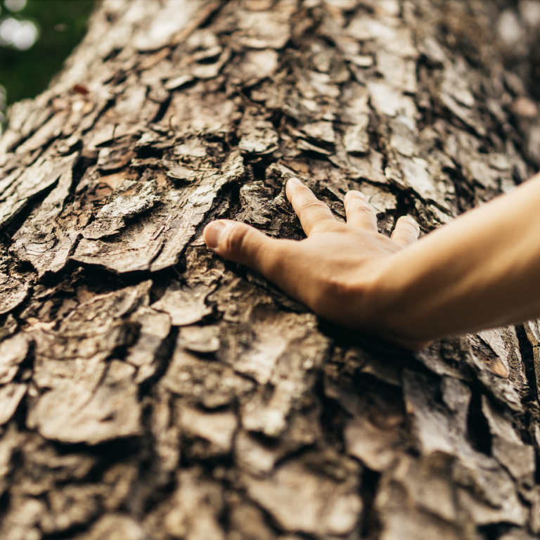 Connect With Nature This Summer Season