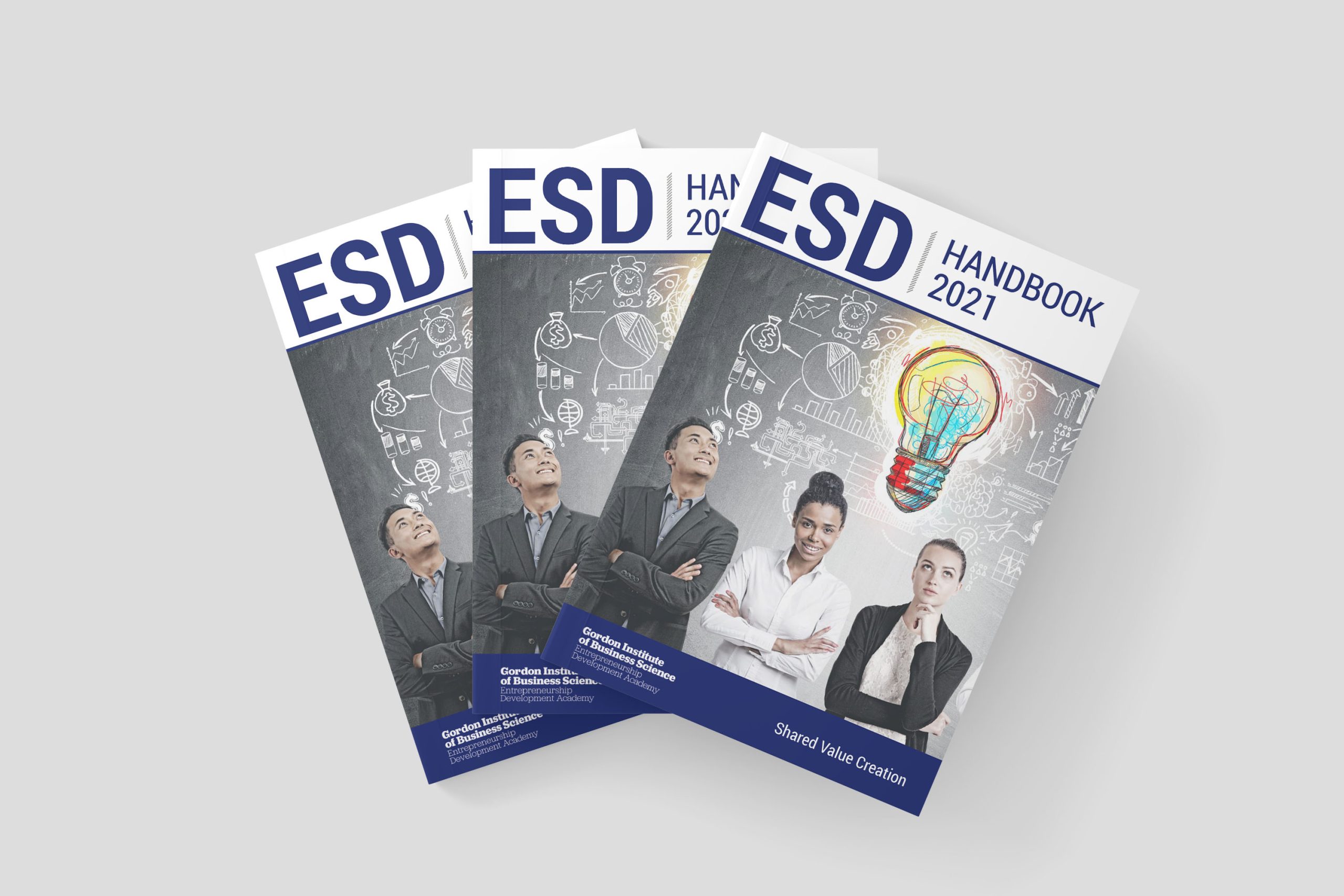 ESD Handbook 2021 Impact SA