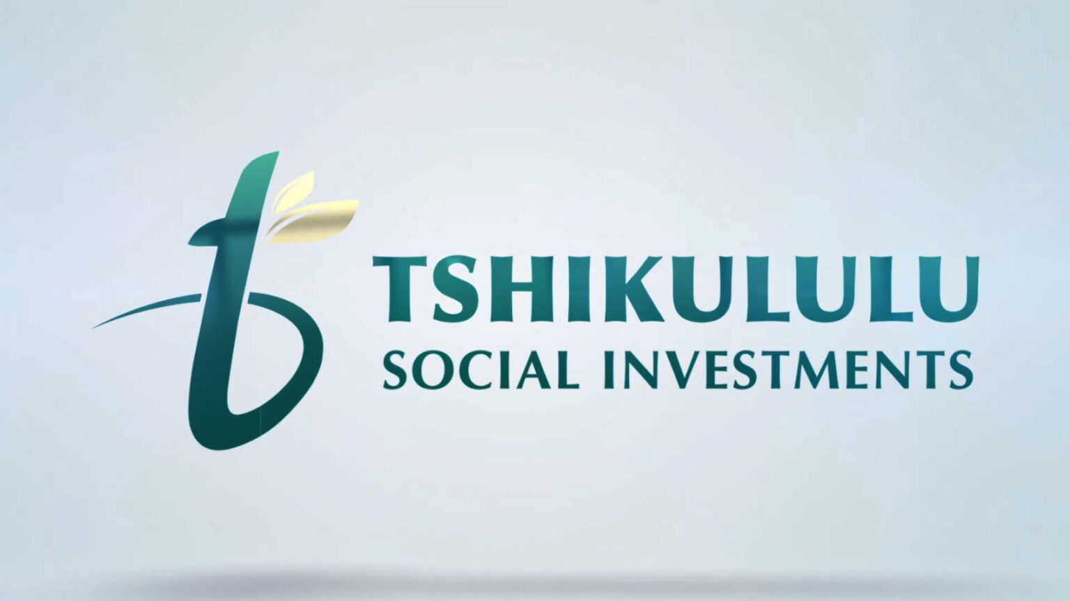Serious Social Investing Series: Social Investors Unfiltered – How unequal is South Africa?