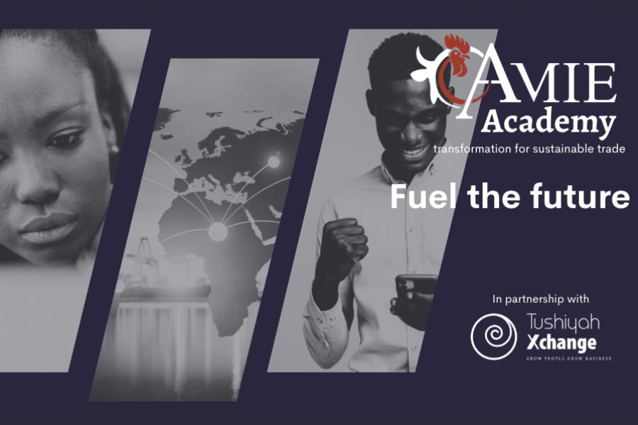 Fuel the future with the AMIE Academy Fund