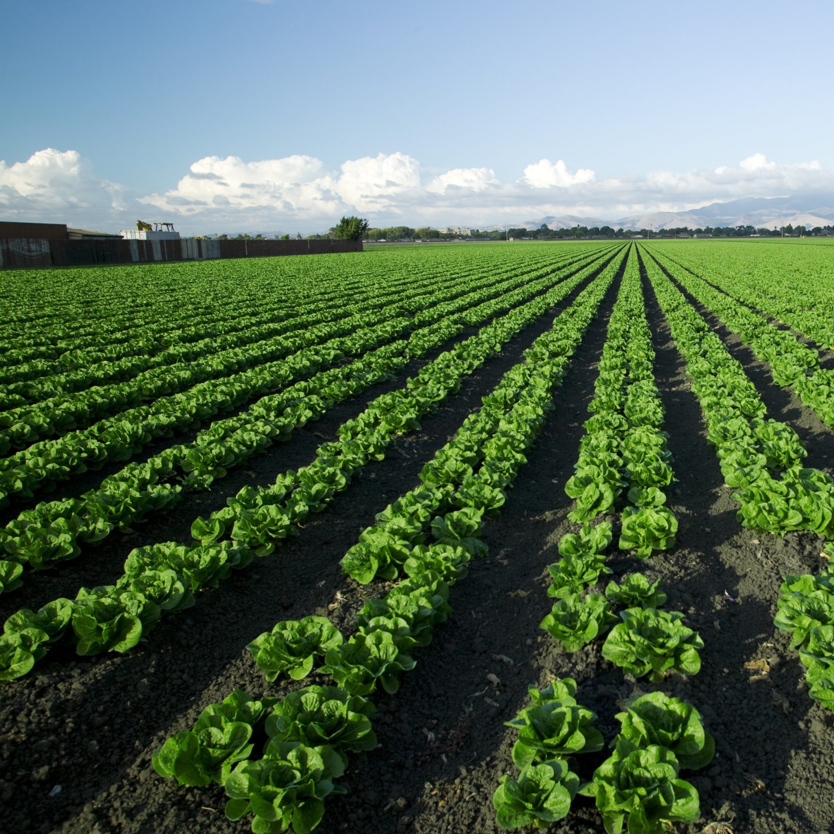 How corporate South Africa can transform land reform into economic opportunity