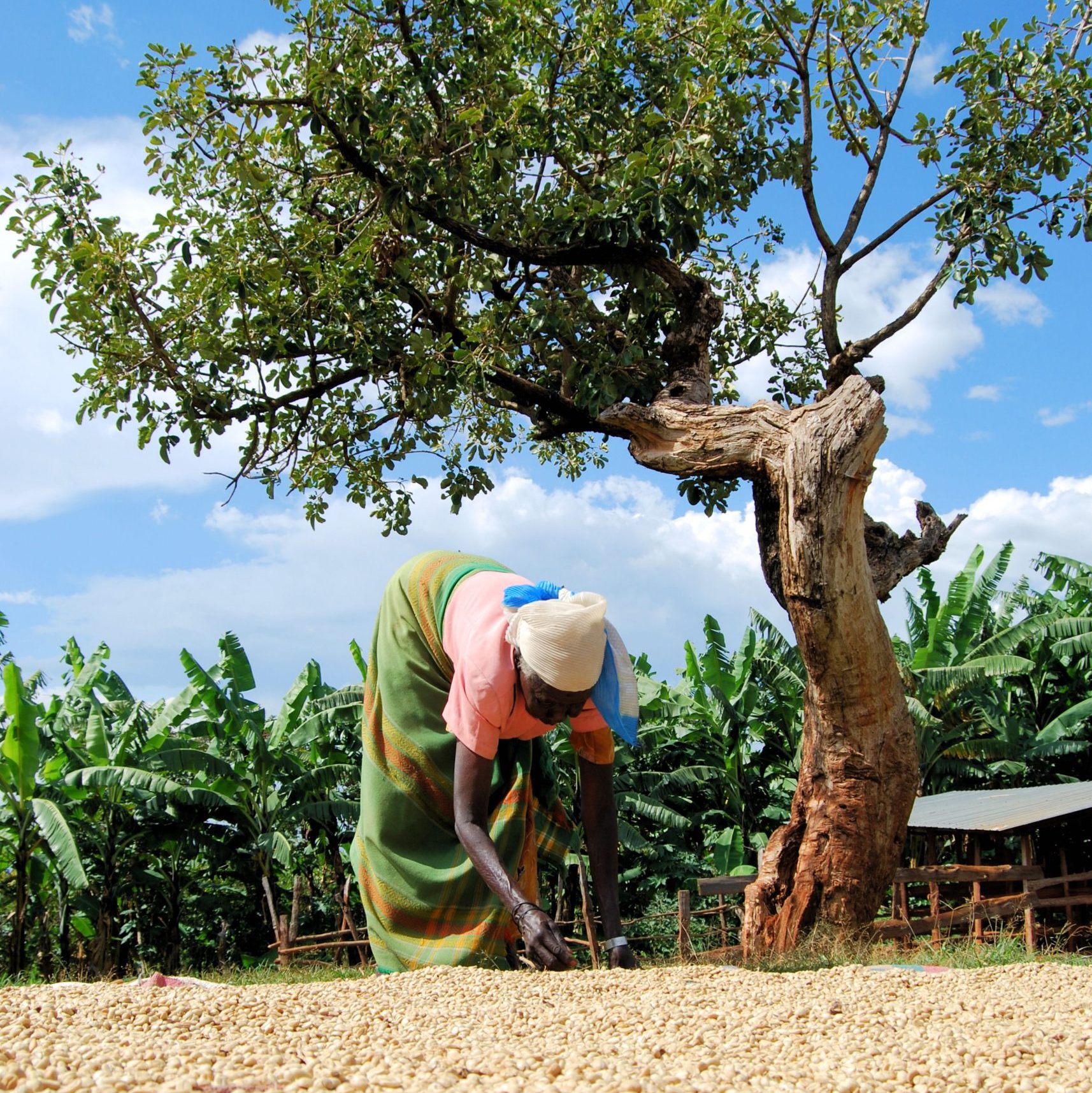 Targeted Supplier Development Drives Growth for Noko Development Trust