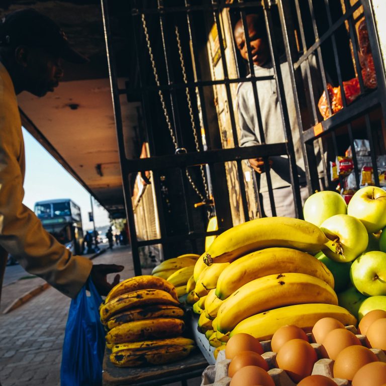 National Parks Fuel Prosperity in SA’s Township Economy