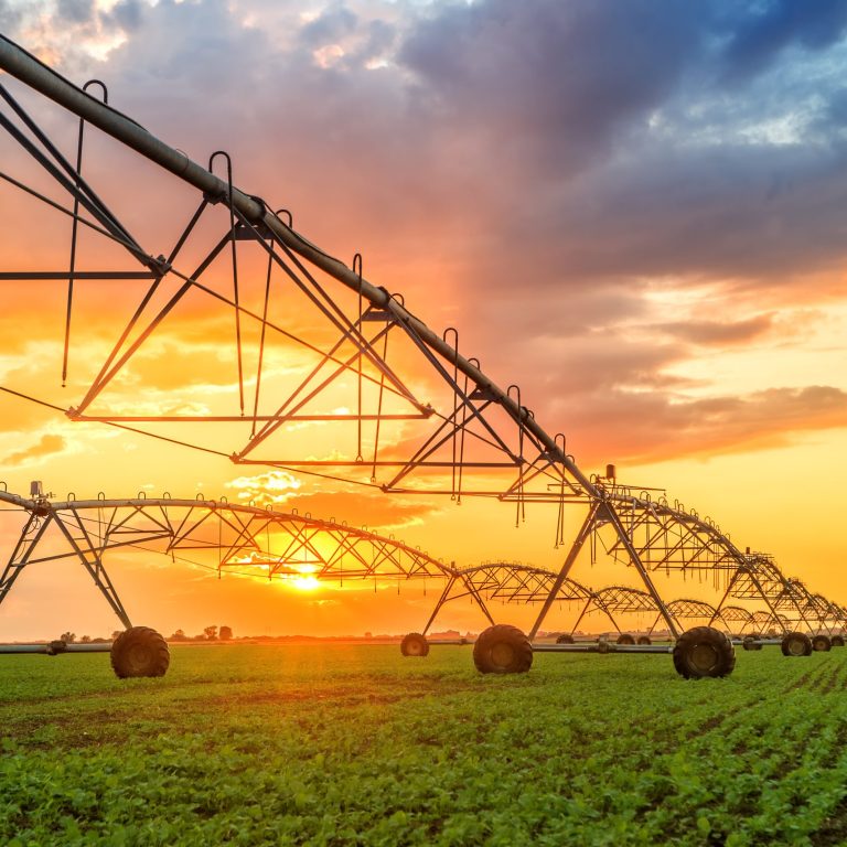 Sasol farmers’ day helps equip emerging producers for sustainable growth