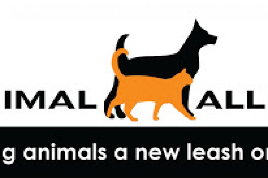 Animal Allies