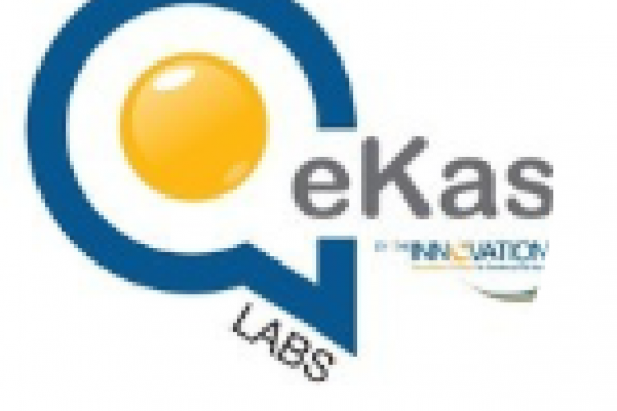 EkasiLabs-01