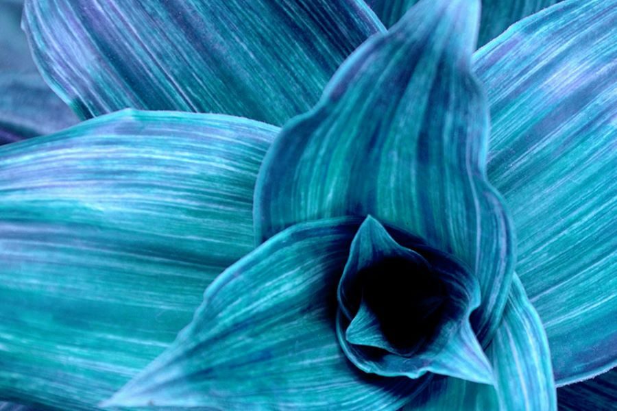 G2021-Image-2_edited