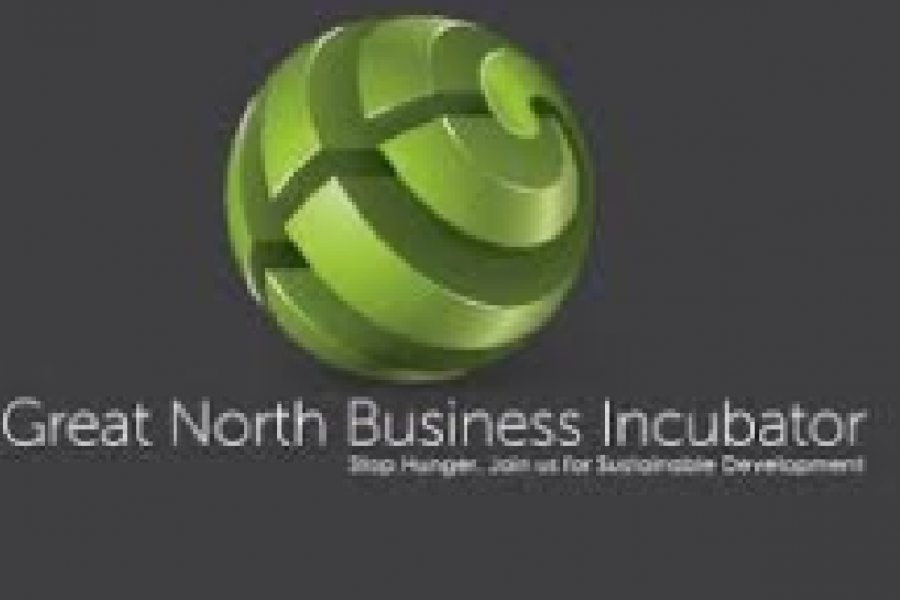 Great North Business Incubator-01