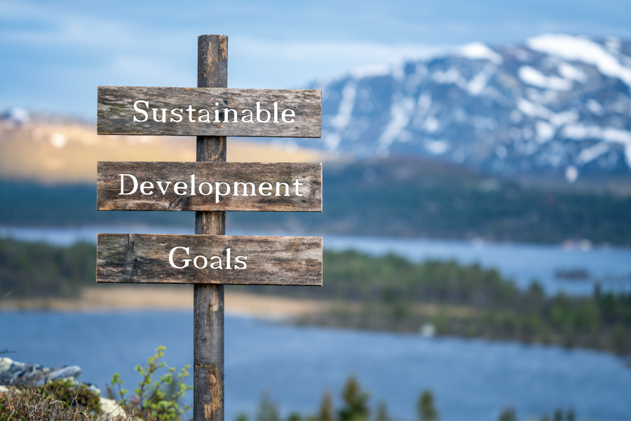 SDG