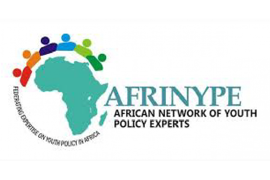 The African Network of Youth Policy Experts-01