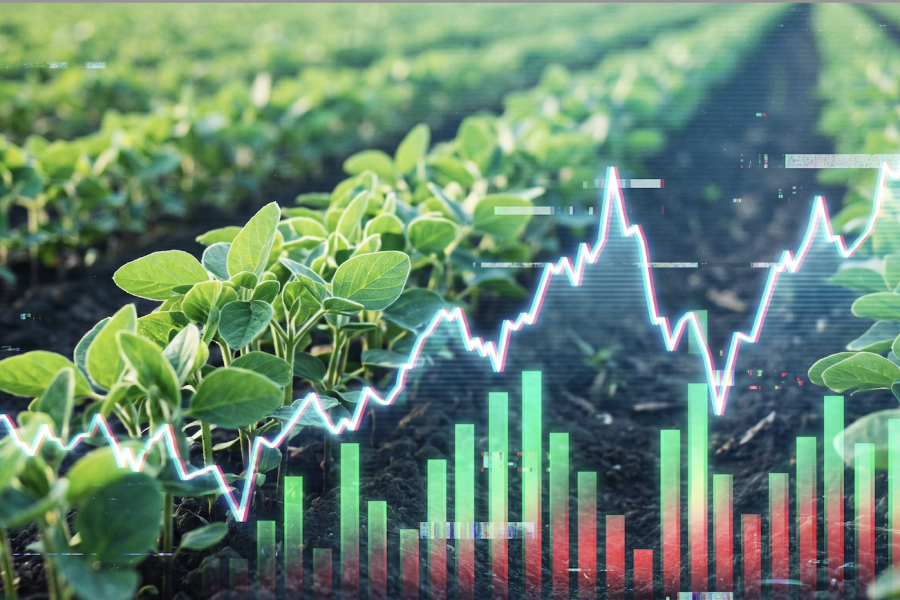 agricultural finance