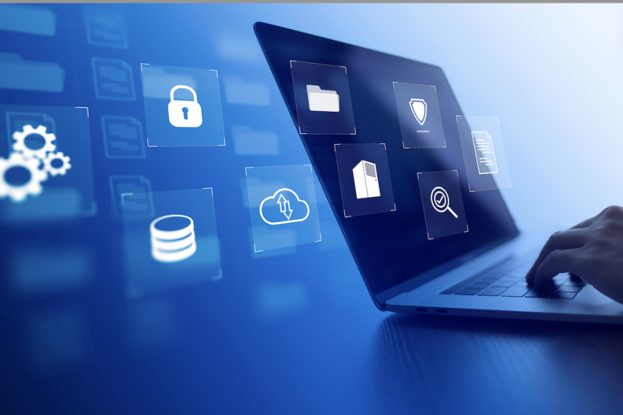 business development services