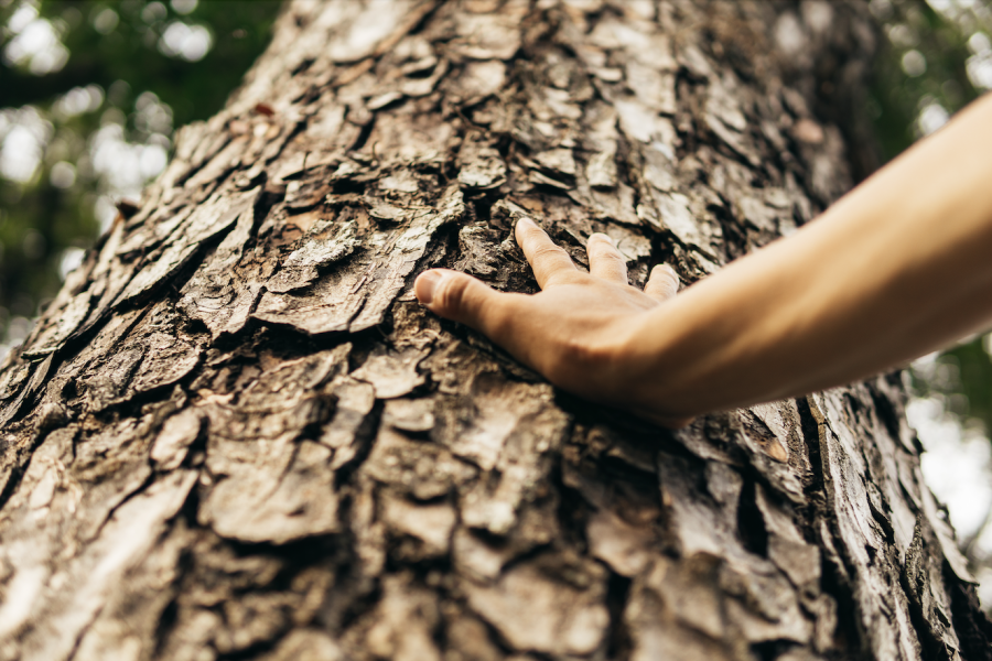 connect with nature