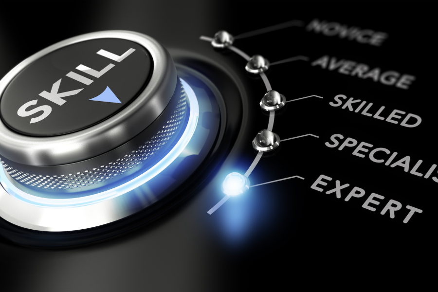skills development
